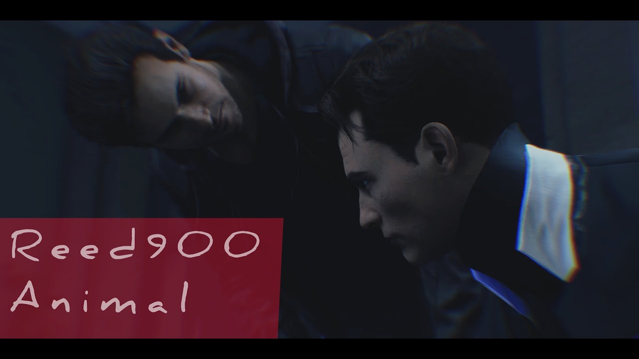[DBH] REED900 &mdash; animal FMV