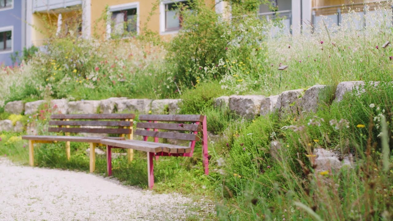 Bl&uuml;hpakt Bayern - &Ouml;kologisch gestaltete Fl&auml;chen: Grundlagen und Tipps