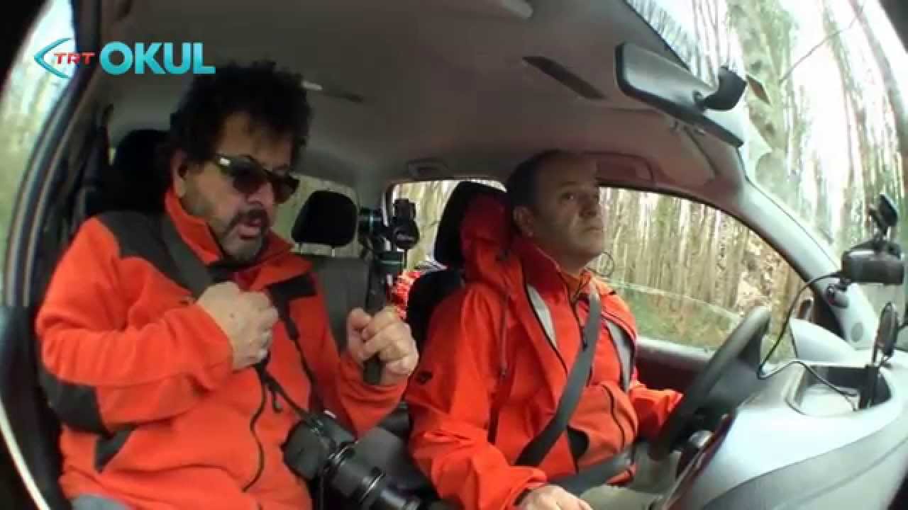 ZOR YOLLAR 159. BÖLÜM İĞNEADA BULANIK DERE FİDANLIK, SAKA GÖLÜ