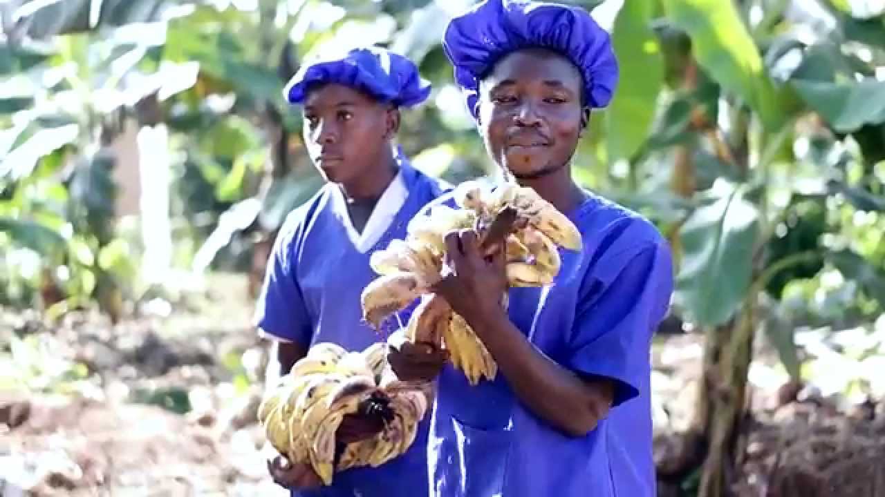 Harmony Banana Juice in Uganda