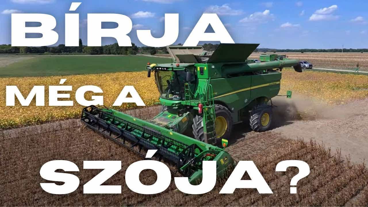 Bírja még a szója Magyarországon? 🌱 – Axereal új fajtákkal válaszol