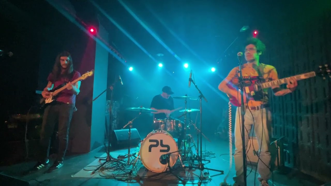 Crisanteemos - El futuro es brillante / Planta Baja Granada 18/01/26 Serpiente Negra
