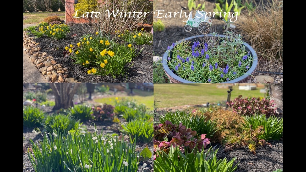 Late Winter Early Spring Garden Tour 🌷