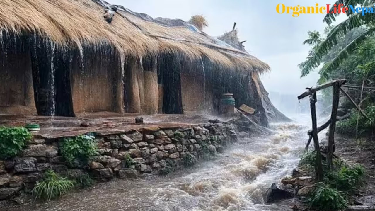 Nepali Mountain Village Life In all Season || Naturally Village Documentary Video ||