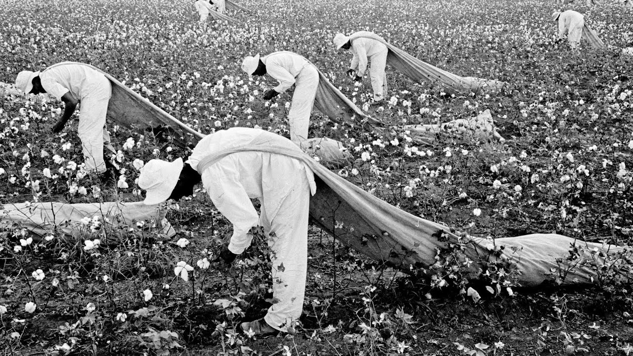 How a Cotton Plantation Became America's Most Brutal Slave Prison