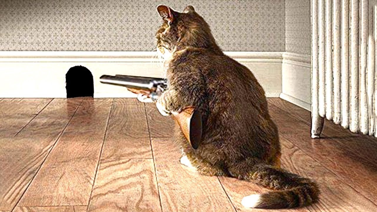 Kafshe Inteligjente qe do t'ju Lene Pa Fjale