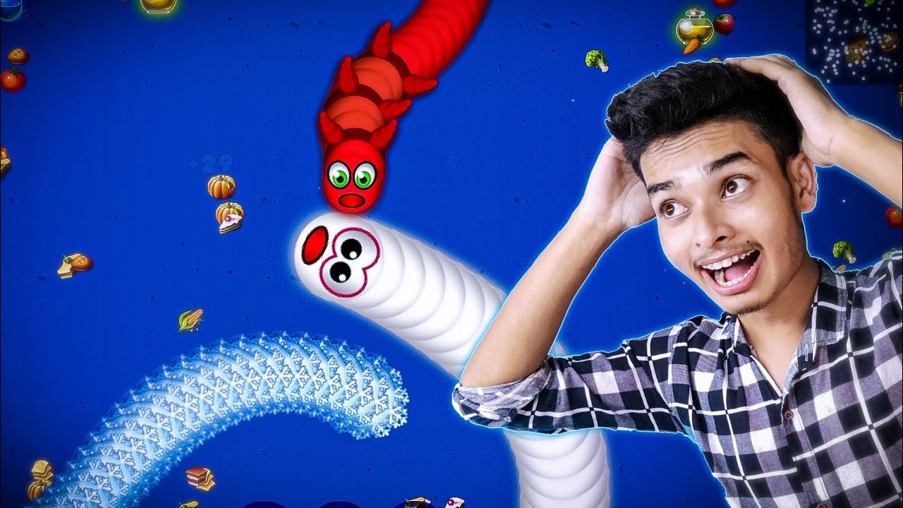পাগলু সাপ || WORMSZONE.io || SOKHER GAMER