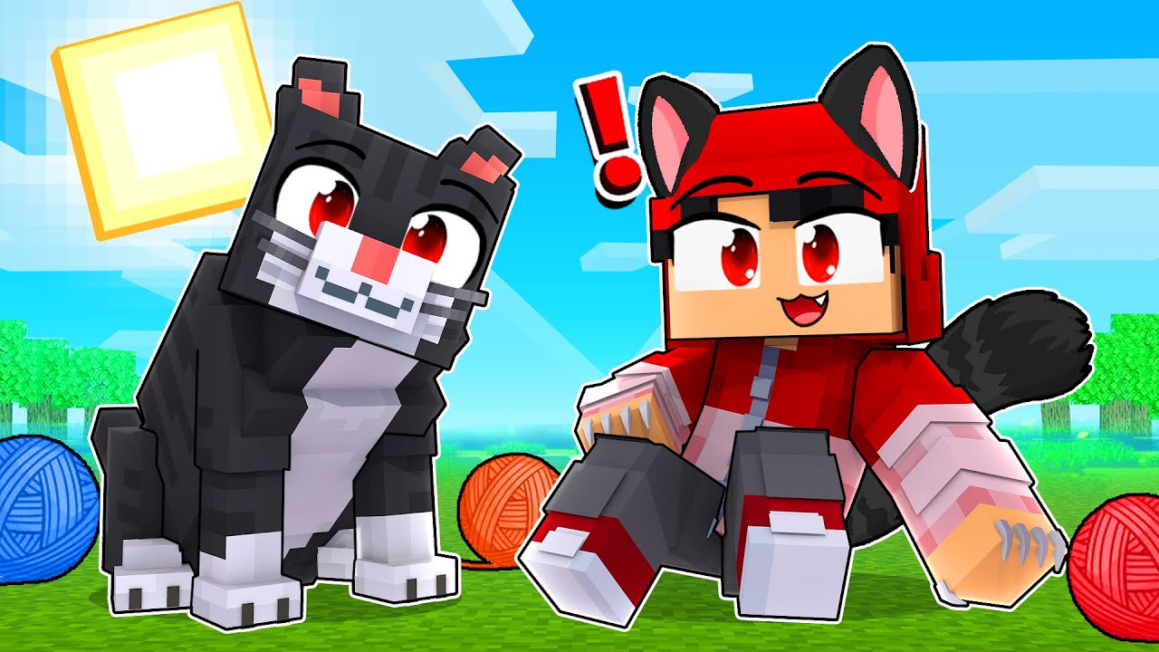 JOGANDO como um BEBÊ GATO no Minecraft