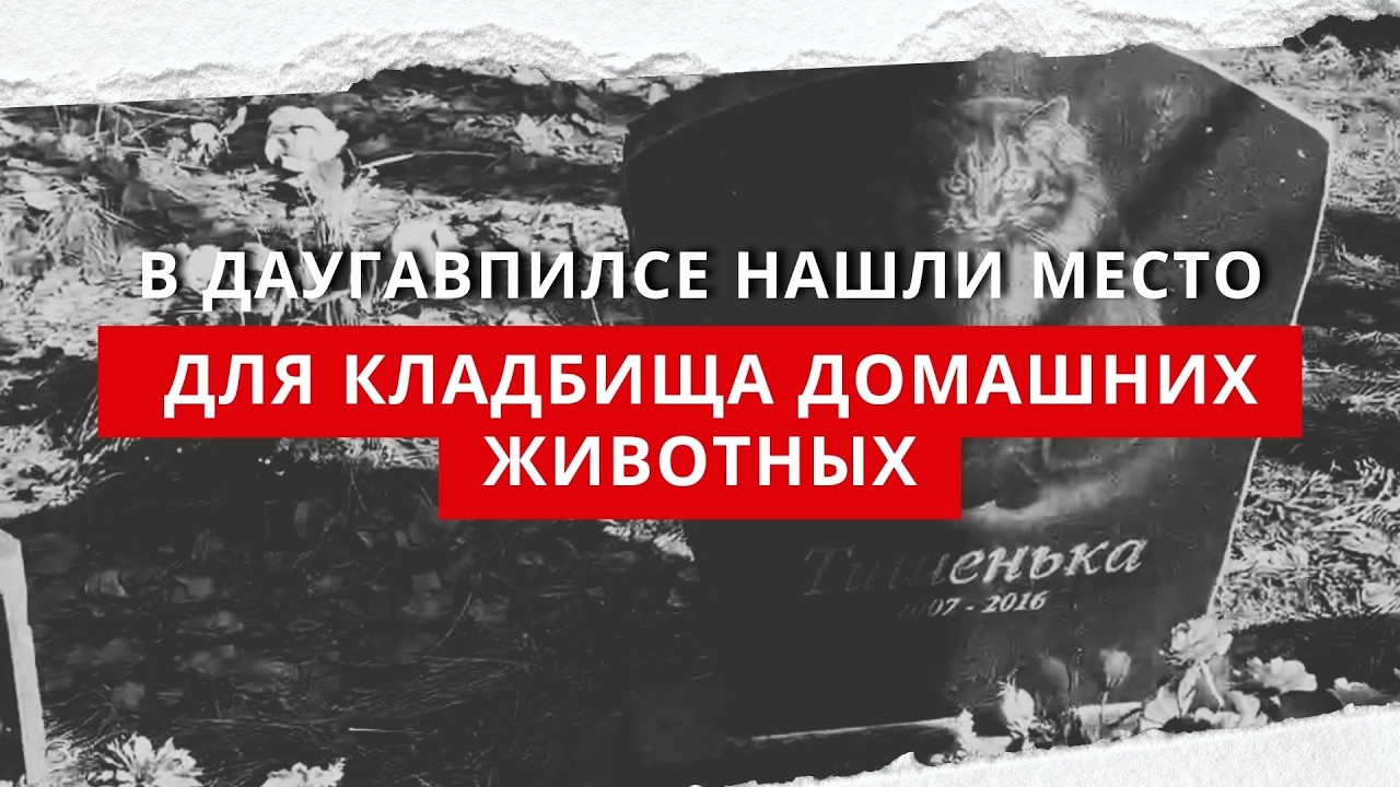 В Даугавпилсе нашли место для кладбища домашних животных