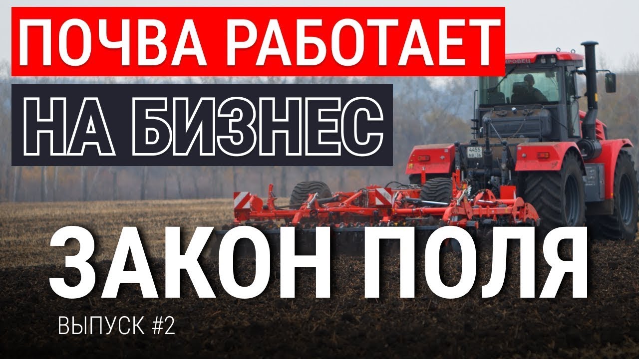 Топ приемов для здоровой почвы | Прибыльные культуры | Полевой севооборот | Агротехнология