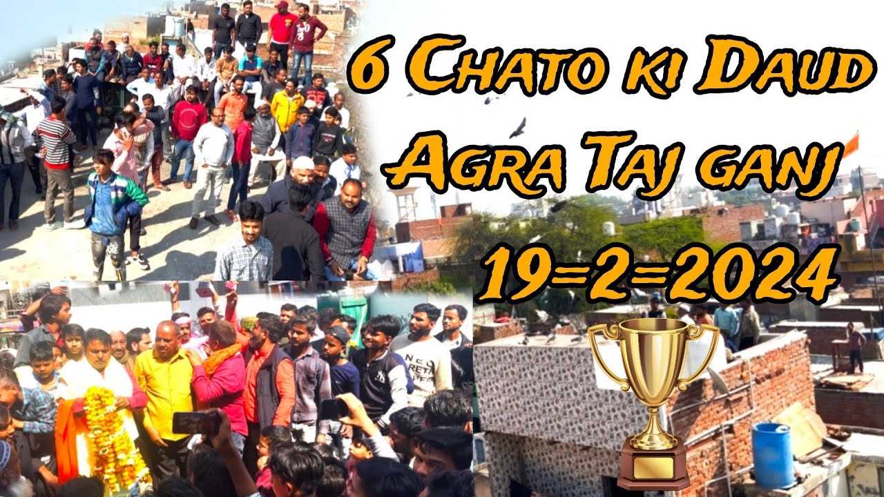 6 Chato ki Daud Agra Taj ganj ( 19=2=2024 ) ❤️Naapu Ustad ka shok