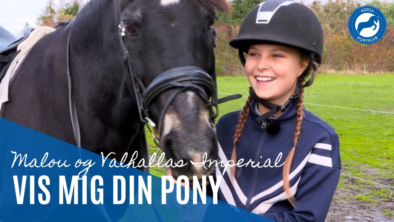 Vis Mig Din Pony: Malou og Valhallas Imperial