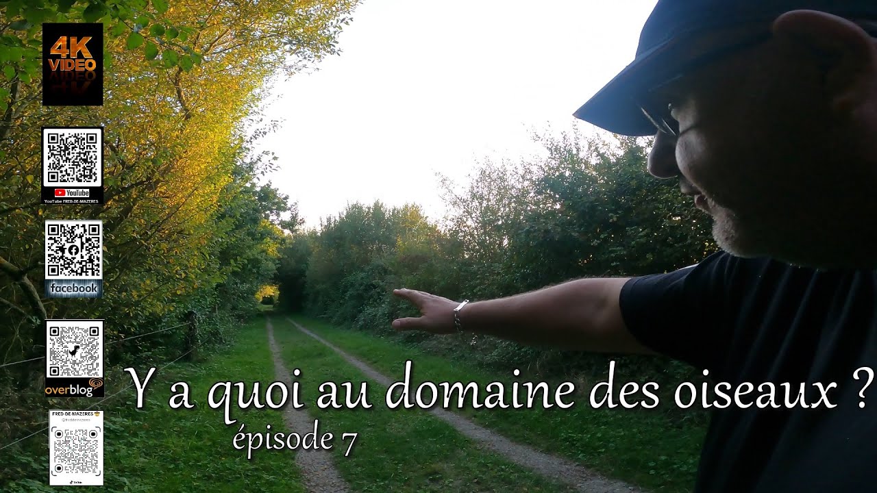 Y a quoi dans le domaine des oiseaux #7