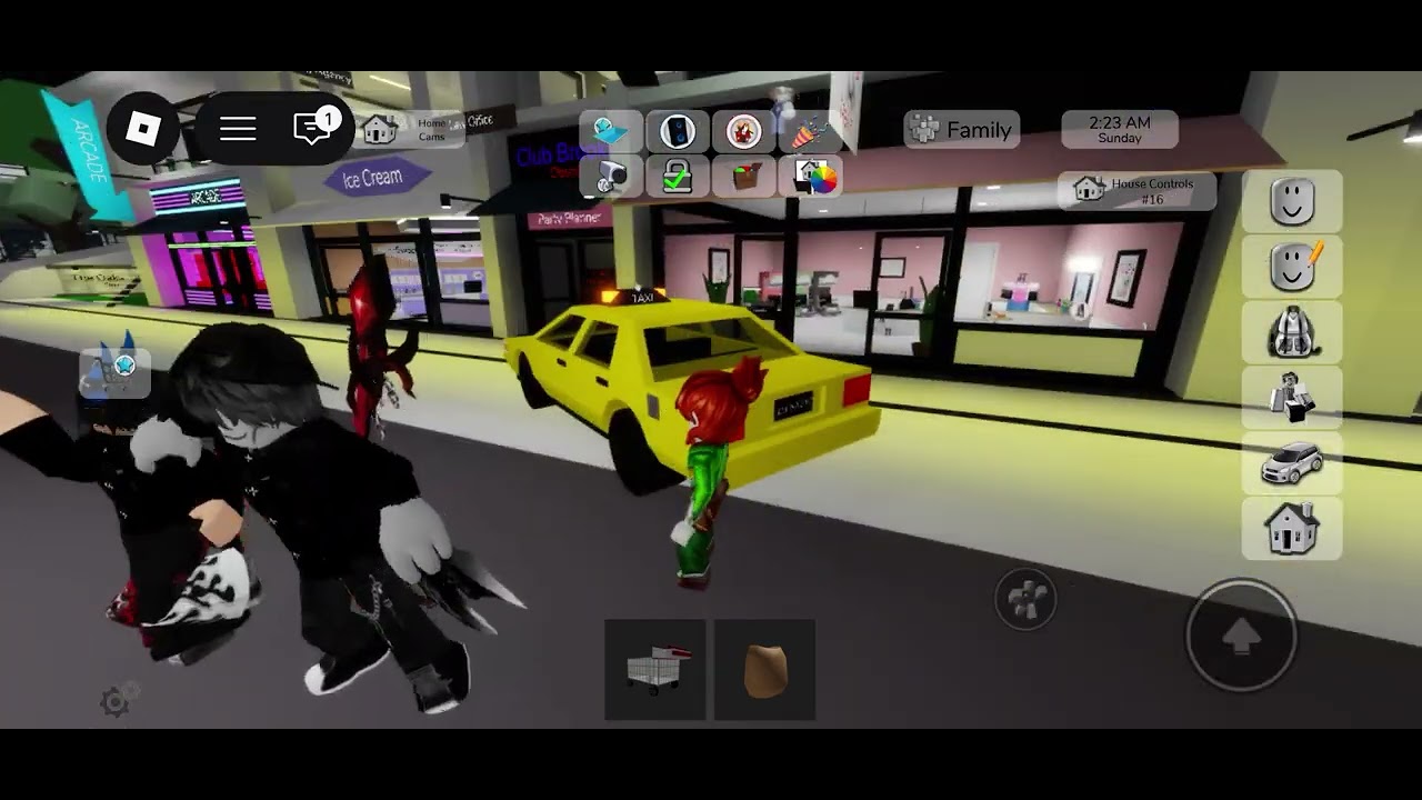 My show 60 The grocery store havoc!