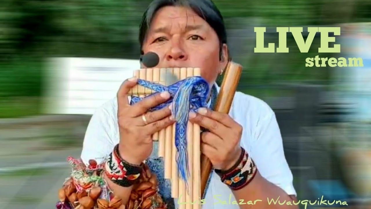 The sounds of wind instruments for you