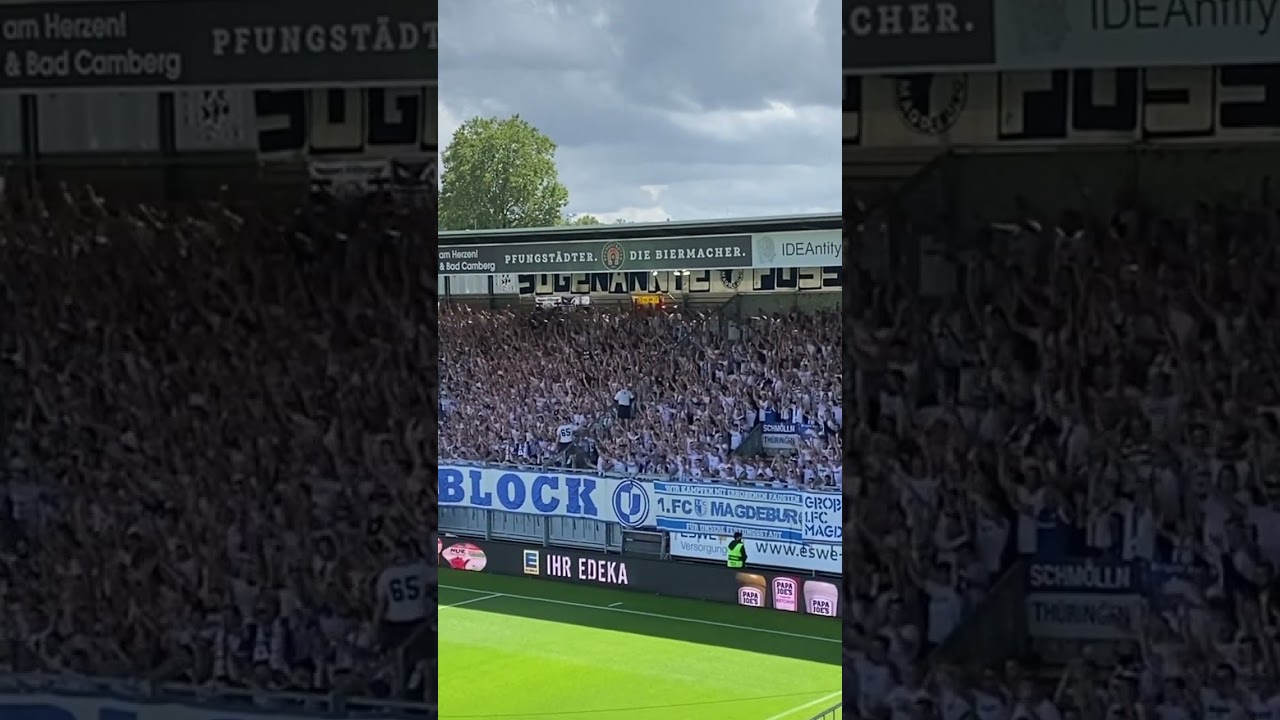 FUSSBALLCLUB MAGDEBURG FUSSBALLCLUB MAGDEBURG #shorts