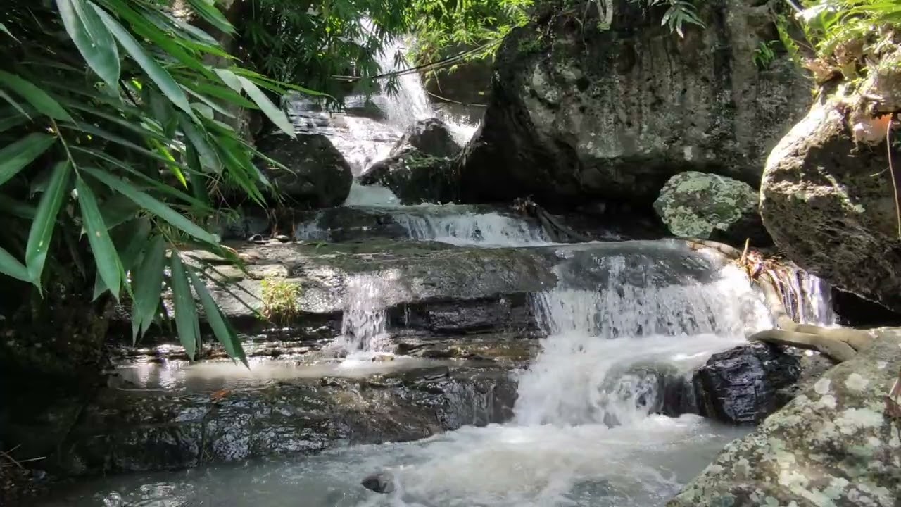 ASMR air deras di sungai , bikin tenang dan rileks vidio ORI,yang gak bisa tidur bisa dengarkan ini.