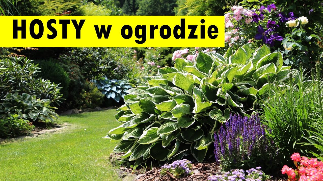 10 sposobów na ARANŻACJE HOSTÓW