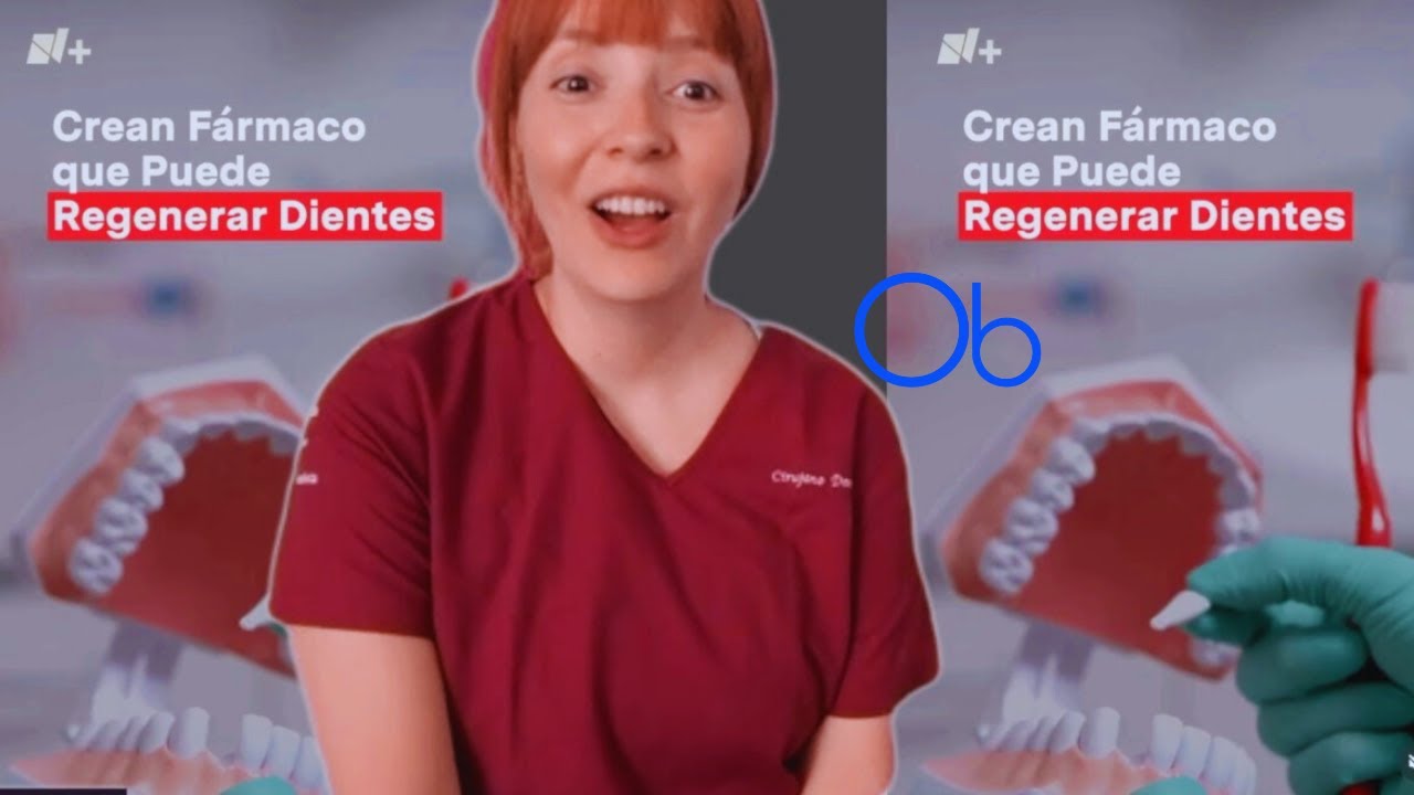 Medicamento 💊 que regenera dientes 🦷