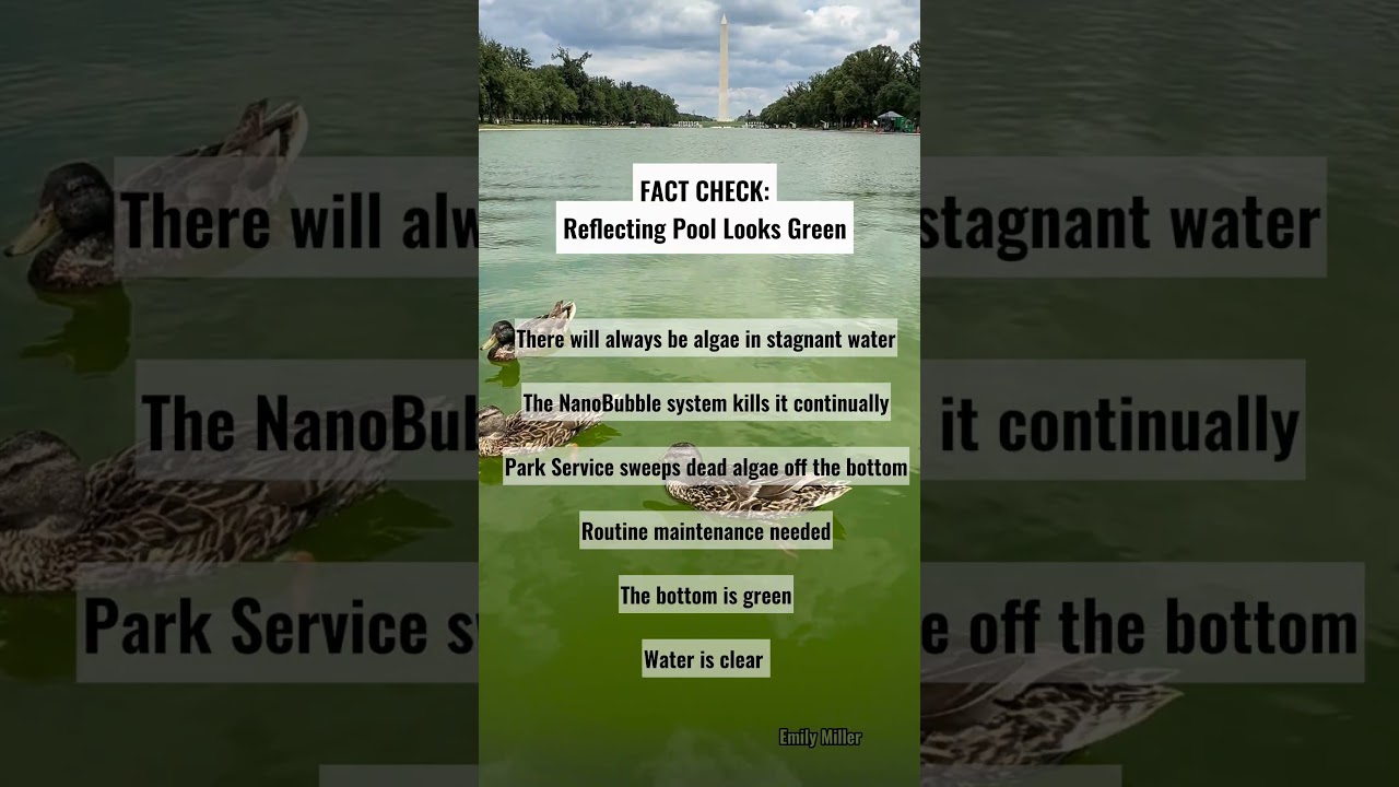 Lincoln Reflecting Pool algae fact check