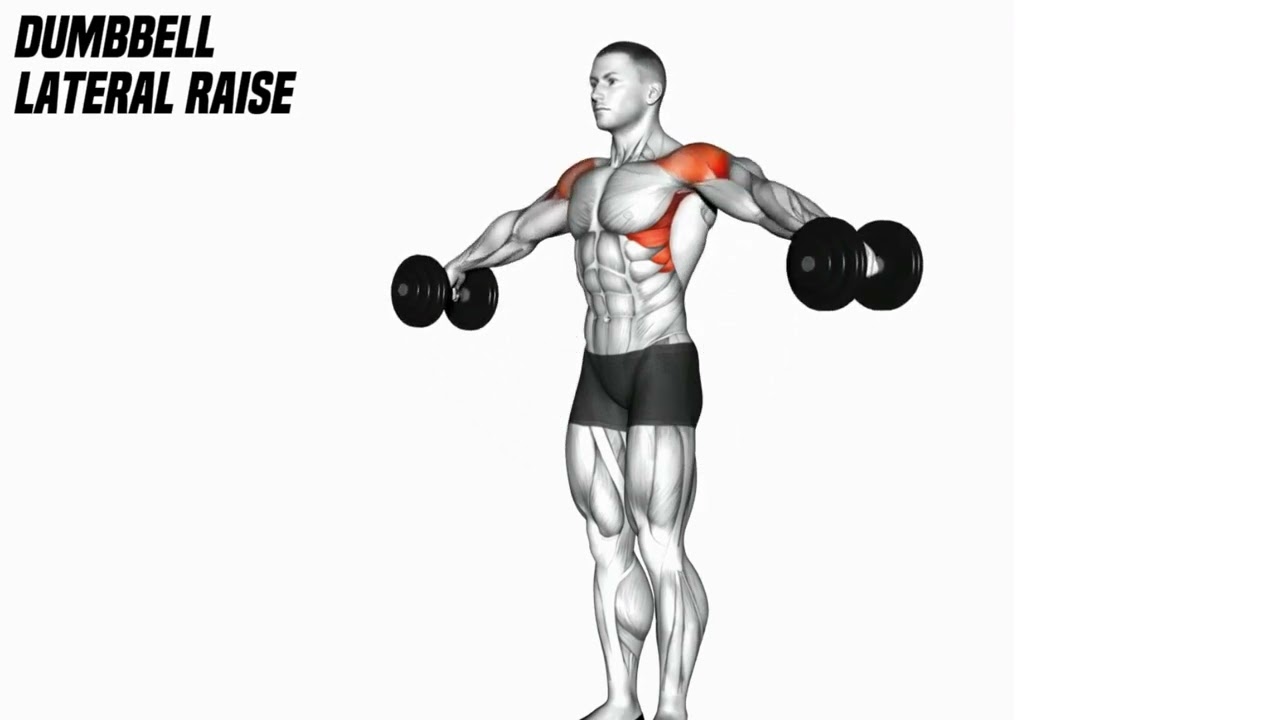 Dumbbell Lateral Raise &ndash; FitCode Tutorial
