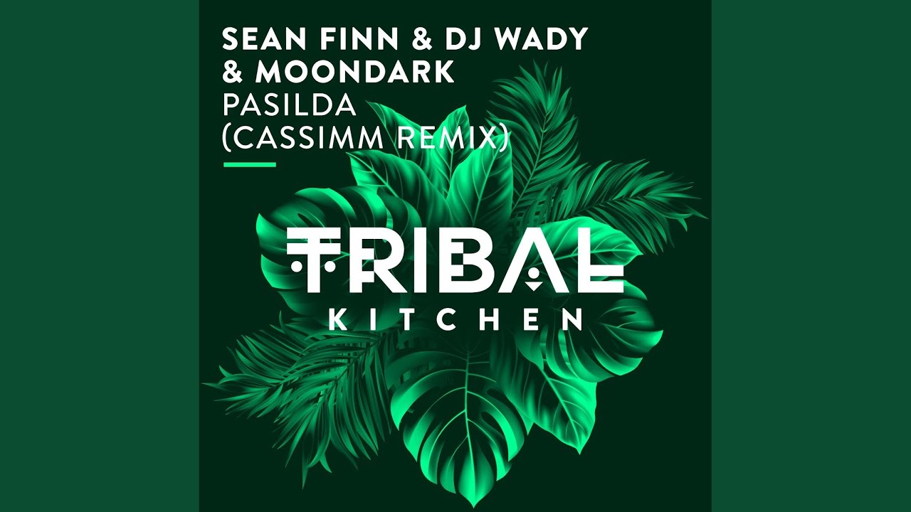 Pasilda (CASSIMM Radio Edit)