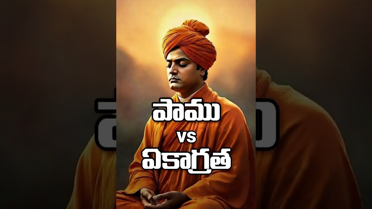 పాము vs ఏకాగ్రత