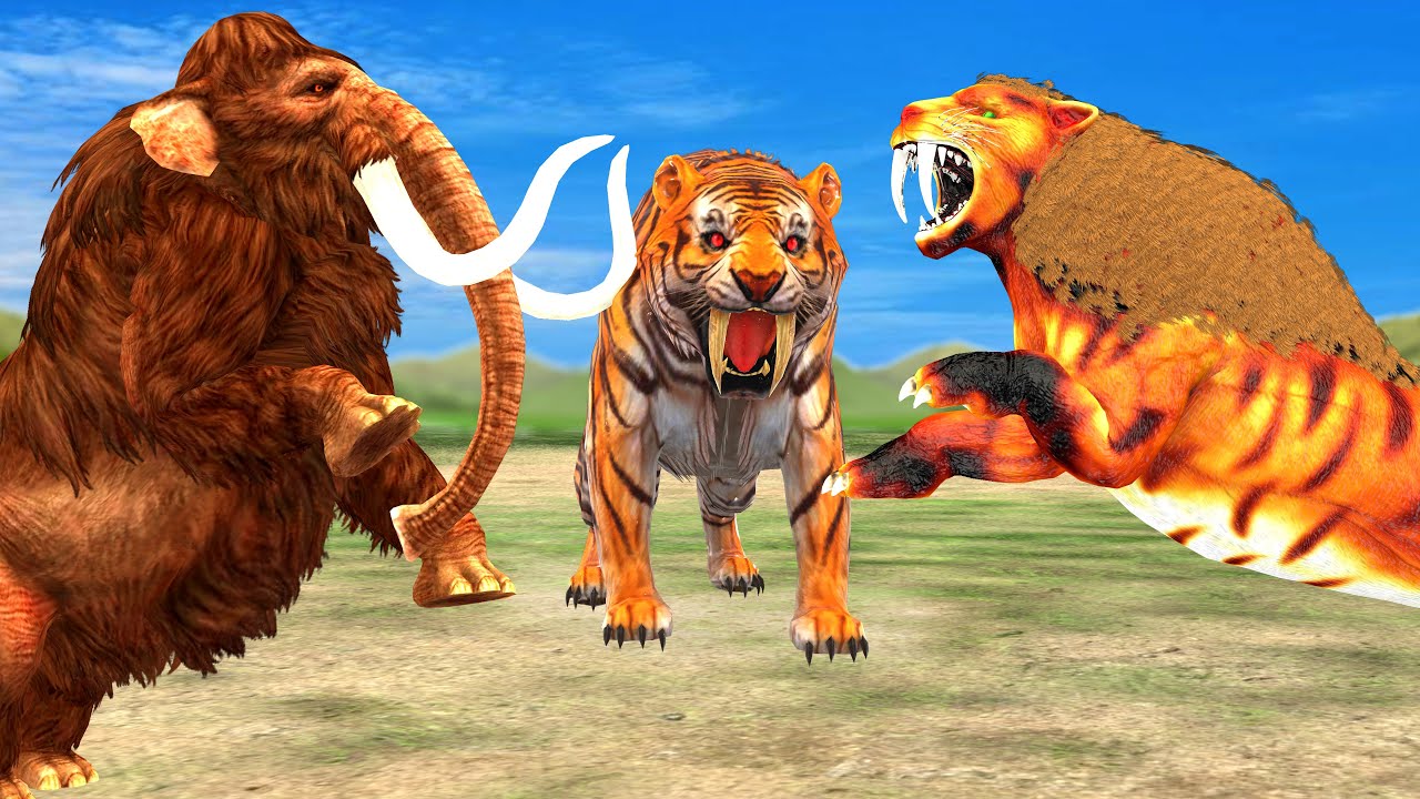 3 Giant Tiger attack Cow Cartoon Bull Saved by Woolly Mammoth Elephant VS Saber-Toothed Tiger