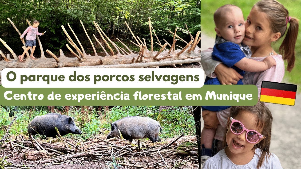 VISITAMOS UMA FLORESTA MANEIRISSIMA EM MUNIQUE! WALDERLEBNISZENTRUM GRÜNWALD | ROSA FILIPOVIC