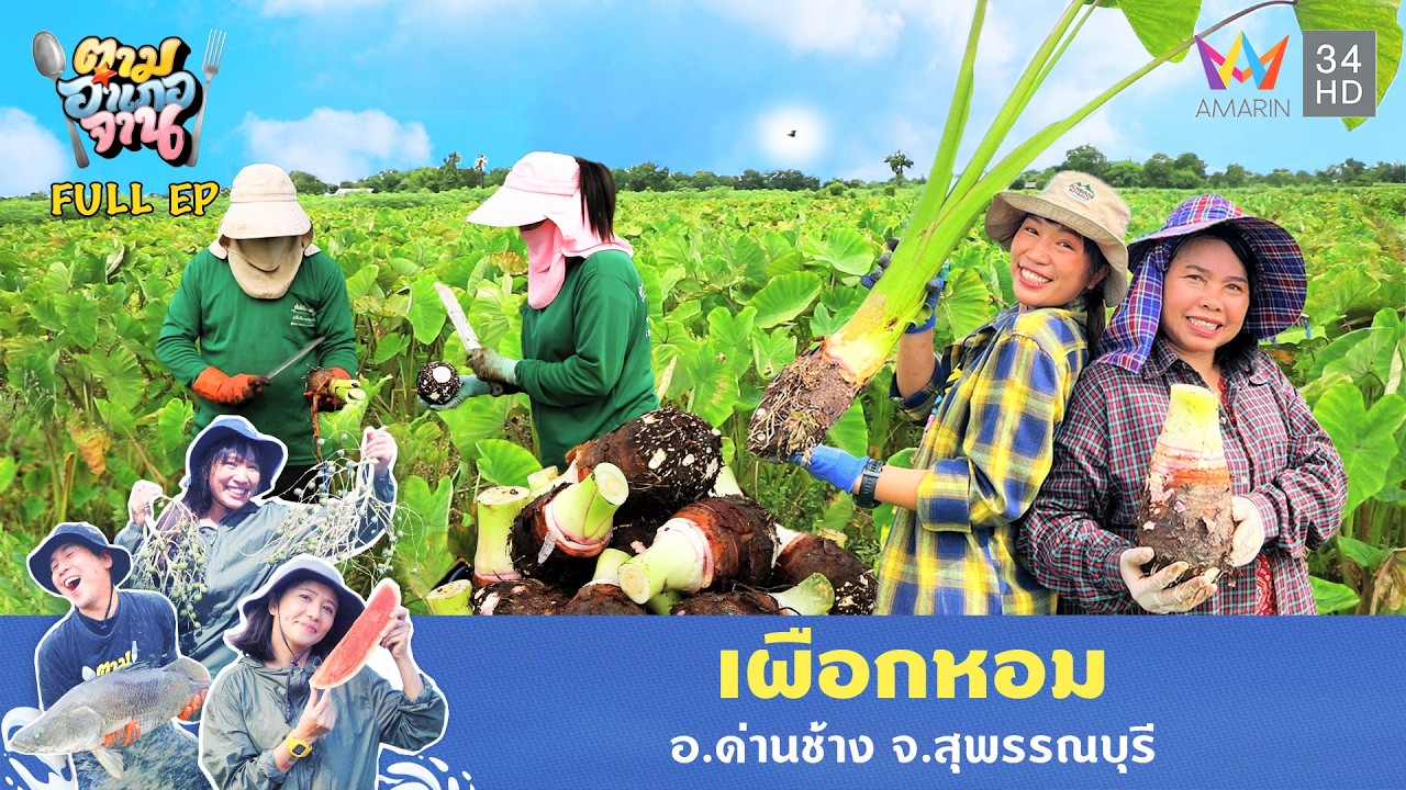 เผือกหอม อ.ด่านช้าง จ.สุพรรณบุรี | ตามอำเภอจาน | 29 ก.ค. 68 Full EP