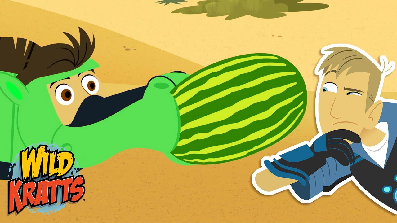 Activate Wild Camel Powers! | How do camels get their humps? | Season 7 | Wild Kratts