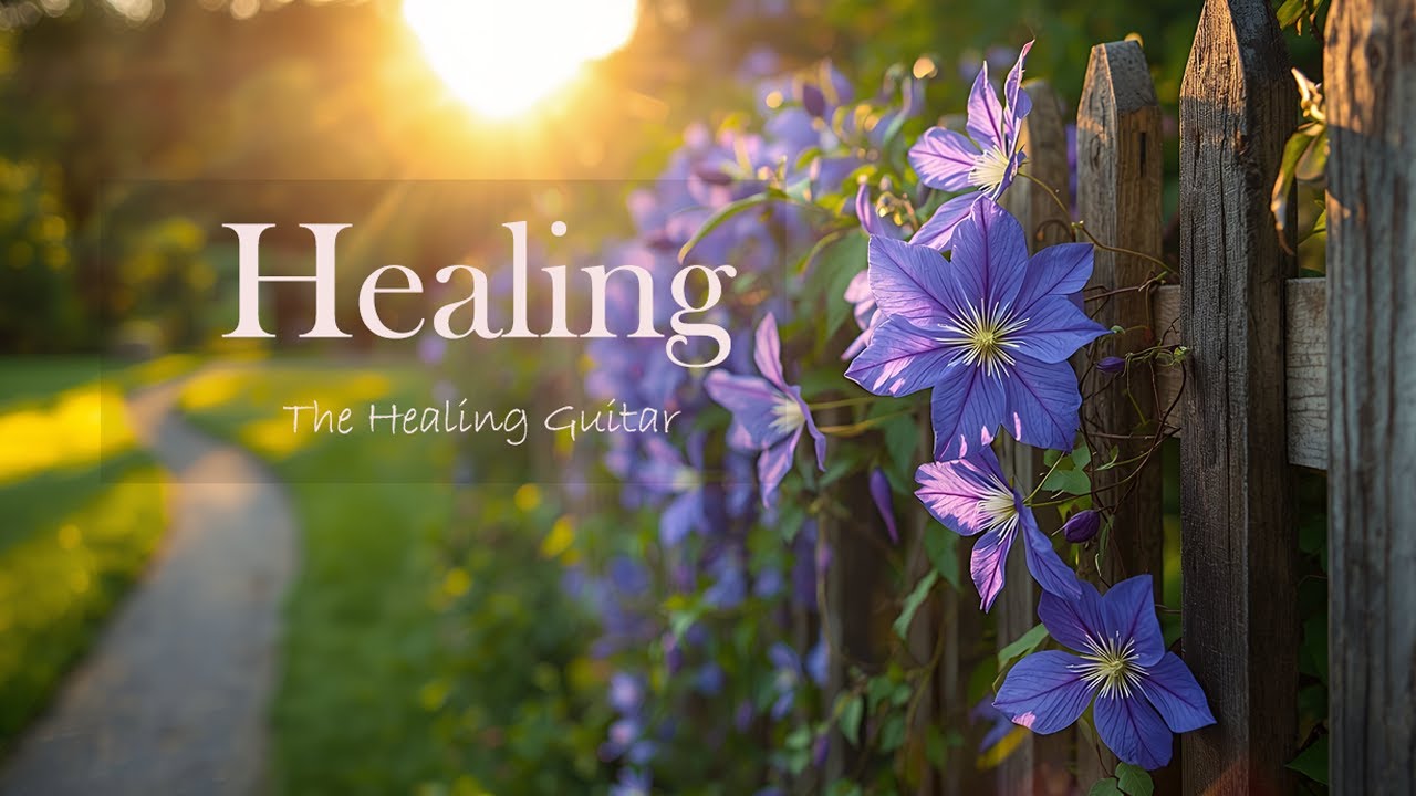 🌿 Healing Acoustic Melodies – Gentle Guitar for Calm & Emotional Release 🎶