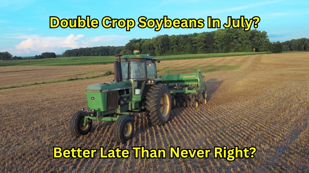Planting Double Crop Soybeans In July | Waste Of Money or Profit?
