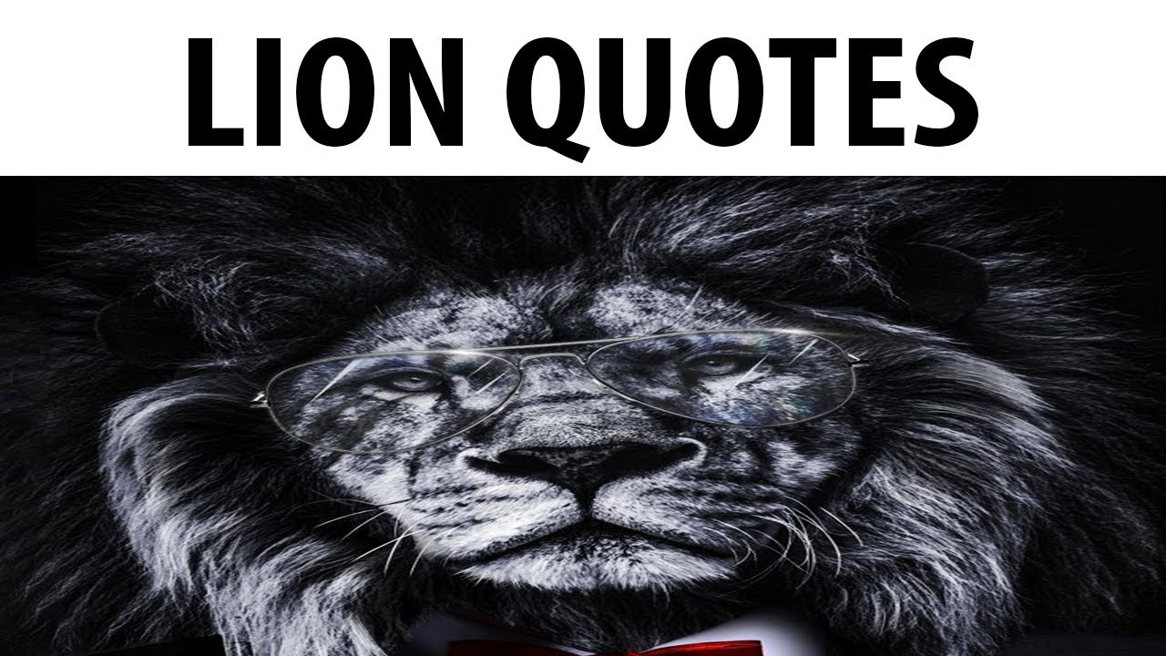 Lion Quotes 4