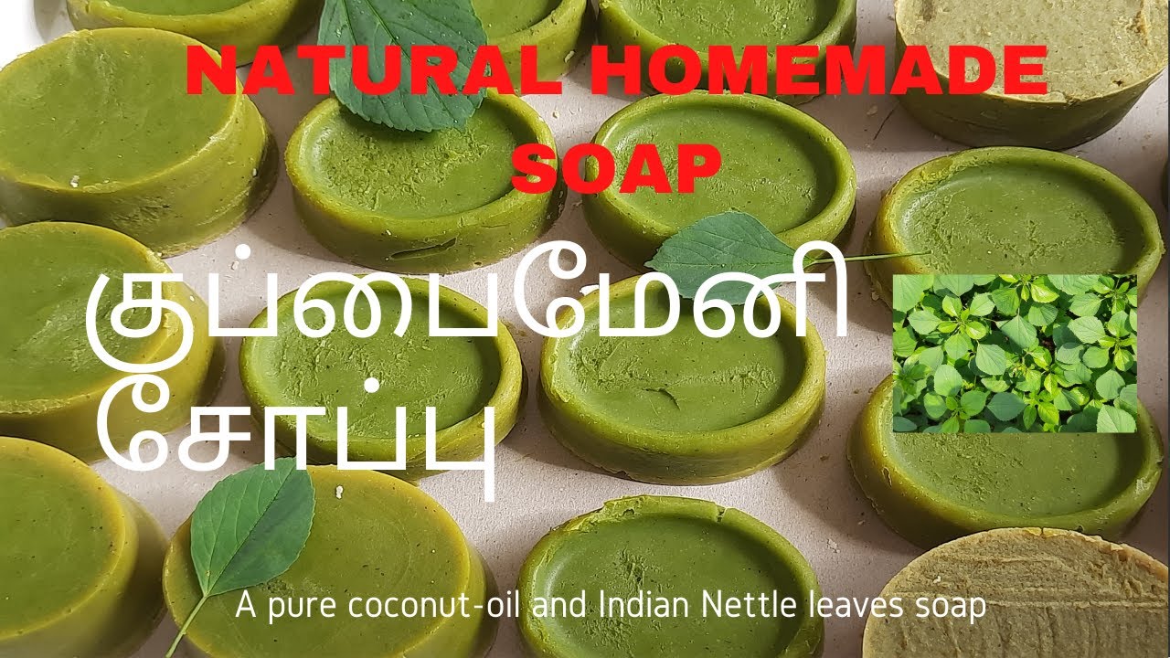 குப்பைமேனி சோப்பு /Kuppaimeni Soap/Indian Nettle Soap/ Easy and Simple Home made Kuppaimeni Soap