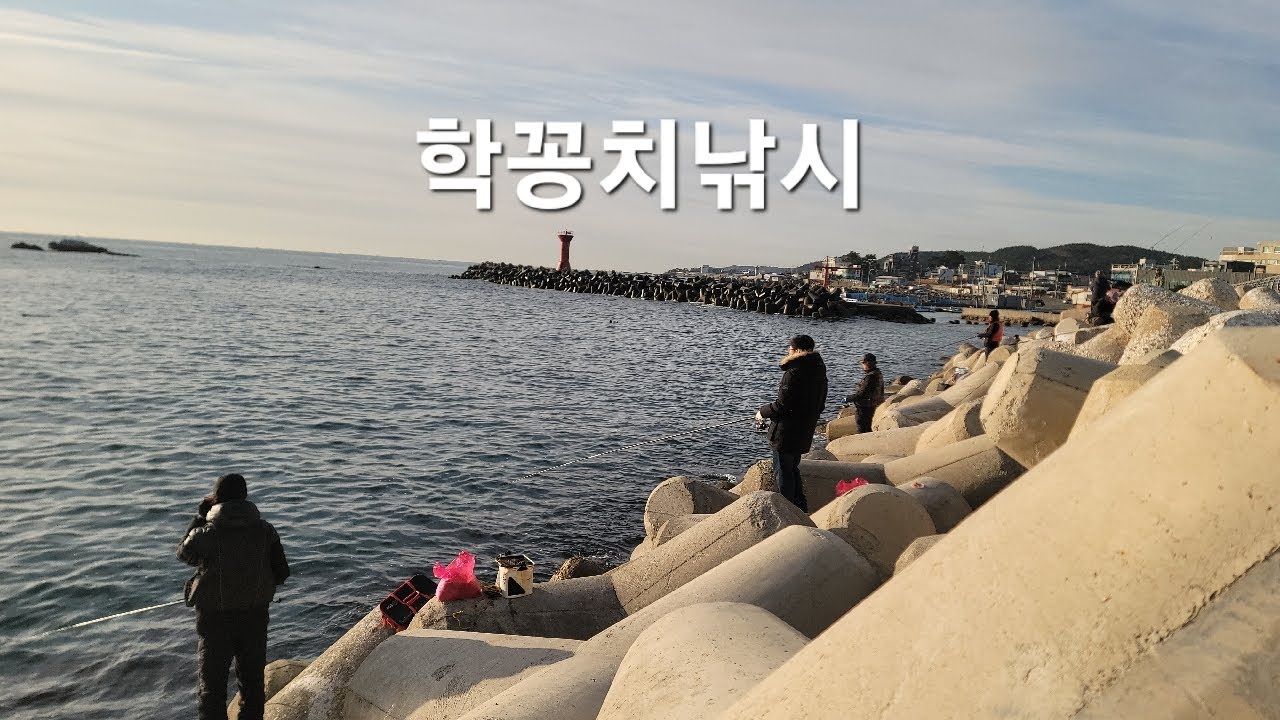 오늘은 구독자분 번개모임👉학꽁치회+회무침+치킨👈먹방 #학꽁치낚시 #fishing