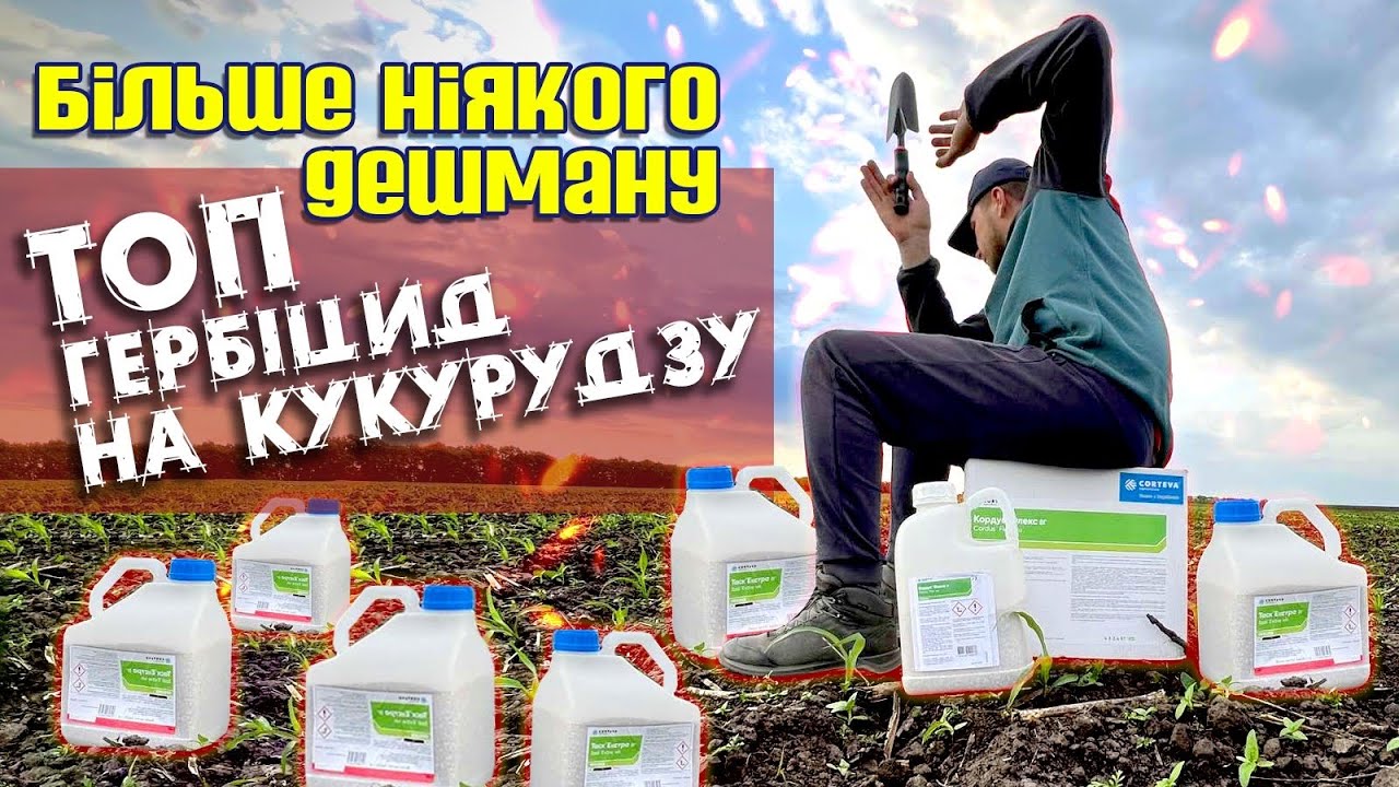 Обприскування Кукурудзи🌽 Кордус  Флекс,Таск Екстра🚀Сходи кукурудзи PIONEER отримано😎