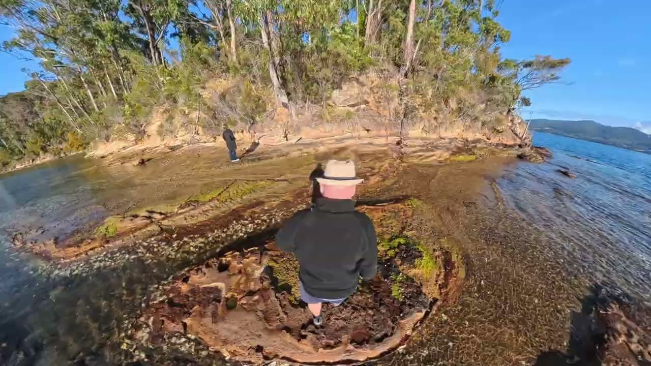 Tazmania Huon River January 2026