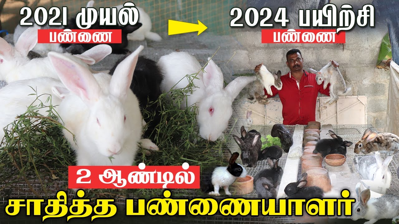 2 ஆண்டில் அபார வளர்ச்சி சாதித்த வெற்றி பண்ணையாளர் | 2021முயல் பண்ணை -2024 பயிற்சி பண்ணை .