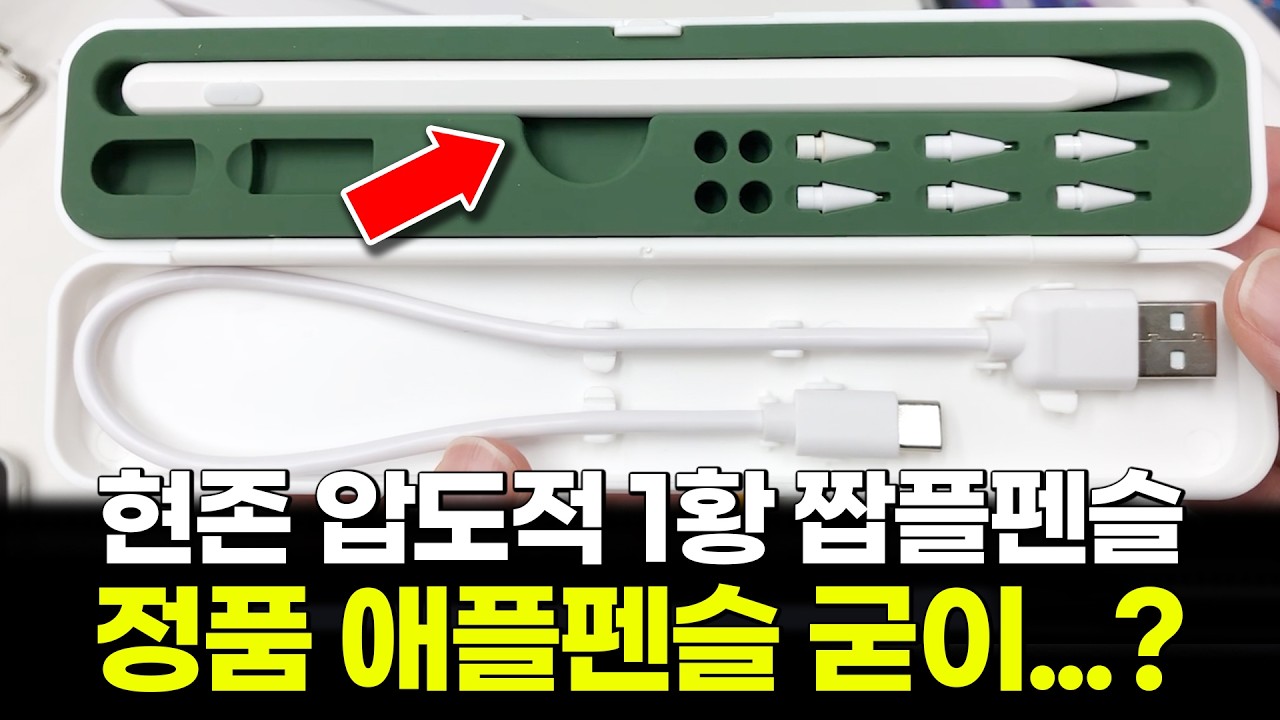 애플펜슬 비싸면 짭플펜슬로! 압도적 1황 DSM펜슬 리뷰! 아이패드 쓴다면 꼭 보세요!