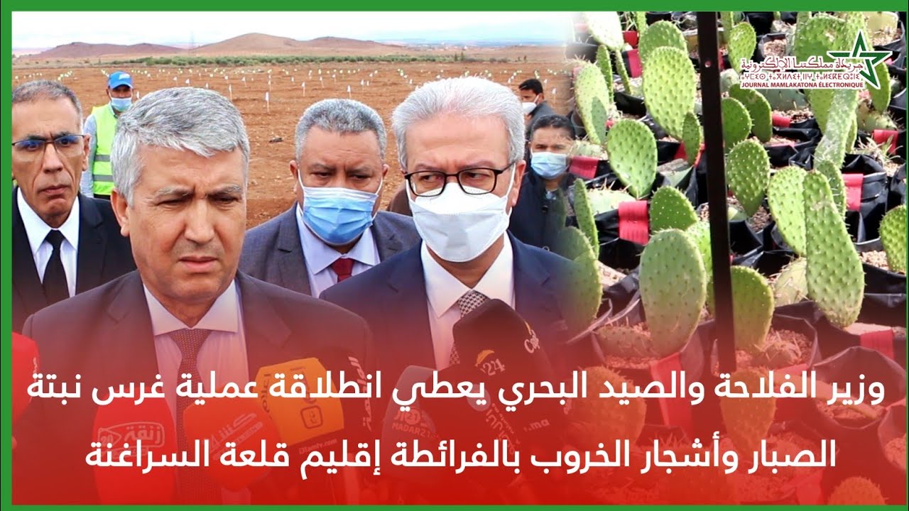وزير الفلاحة والصيد البحري يعطي انطلاقة عملية غرس نبتة الصبار وأشجار الخروب بالفرائطة بقلعة السراغنة