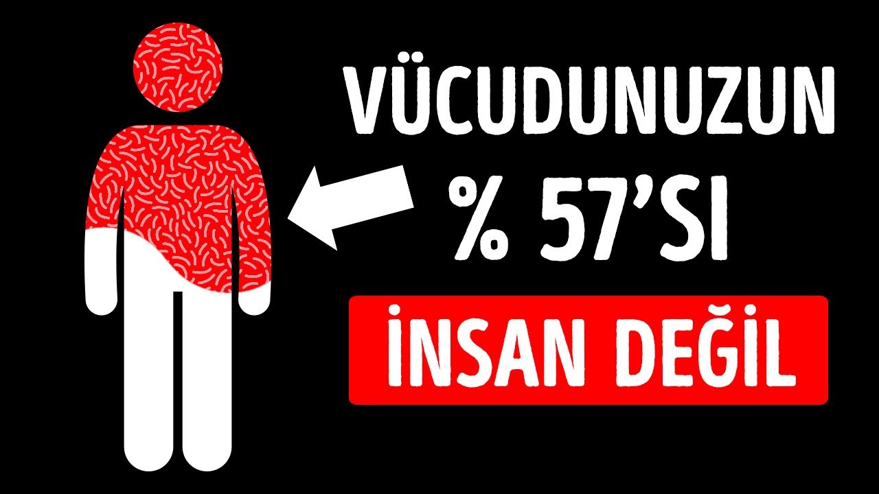 Vücudunuzun Yarısından Fazlasını İnsan Olmayan Bir Şeyle Paylaşıyorsunuz