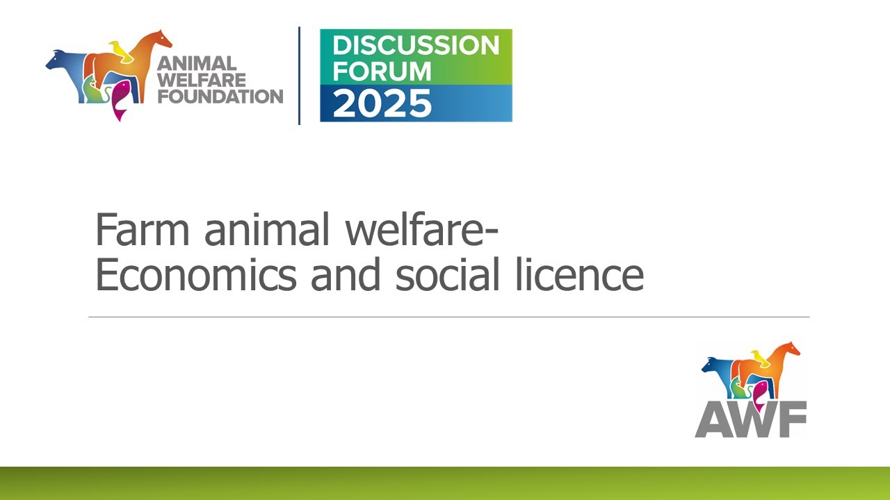 Discussion Forum 2025: Farm animal welfare: economics and social licence