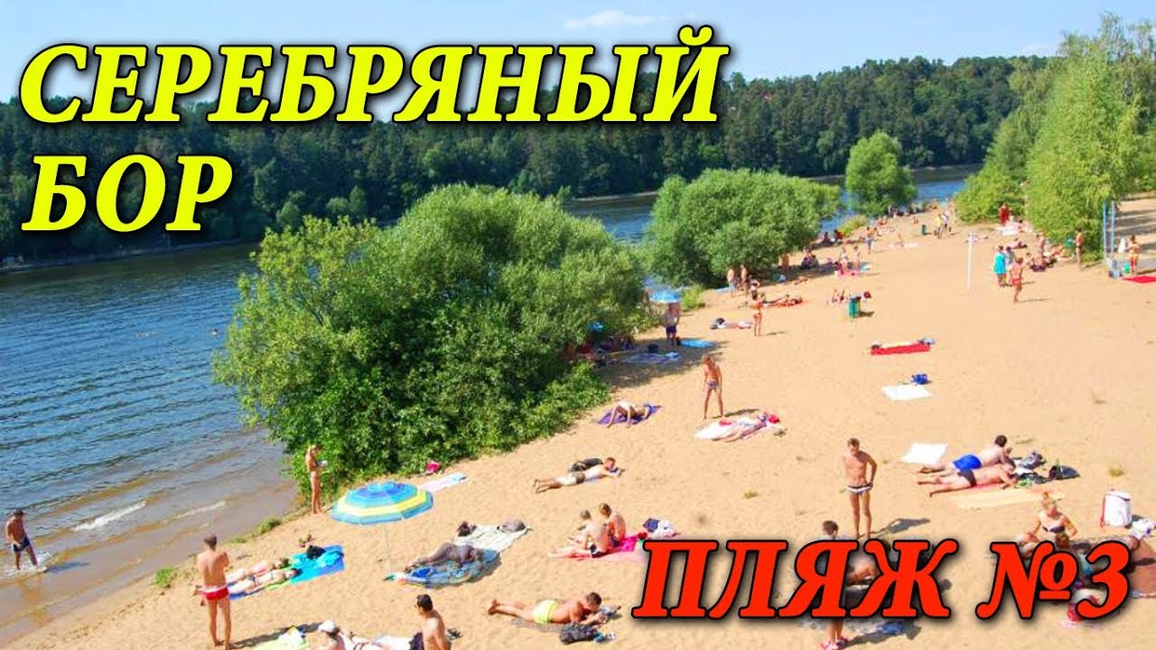 СЕРЕБРЯНЫЙ БОР - ПЛЯЖ №3 | ГДЕ ИСКУПАТЬСЯ В МОСКВЕ | ПЛЯЖИ МОСКВЫ | ОТДЫХ В МОСКВЕ