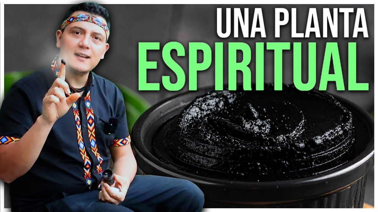 AMBIL | Medicina Ancestral Sagrada que Transforma y Sana