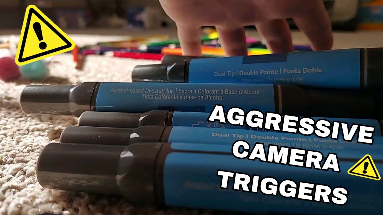 Fast and Aggressive Camera Triggers (headphones recommended) ASMR