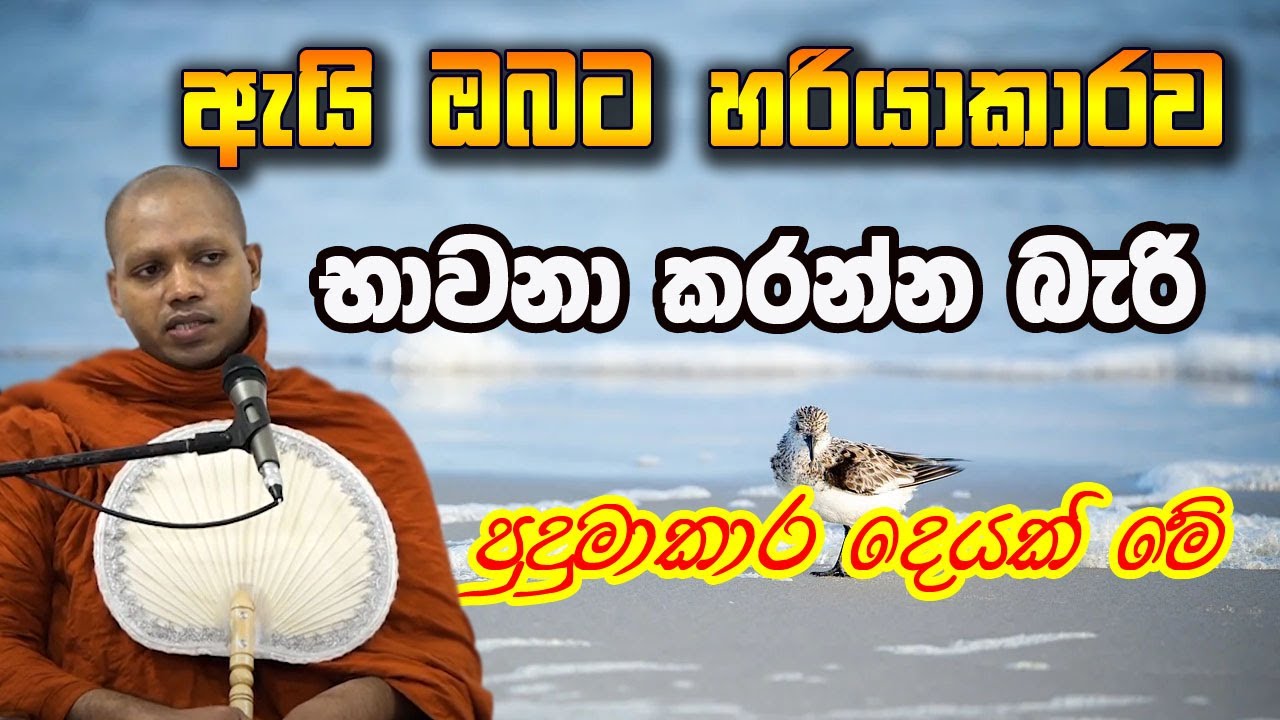 මොනවද මේ අප හිත් දූෂණය කරන කෙලෙස් ධර්ම. වටිනාම දේශනාවක් | hasalaka seelawimala himi bana | 2025