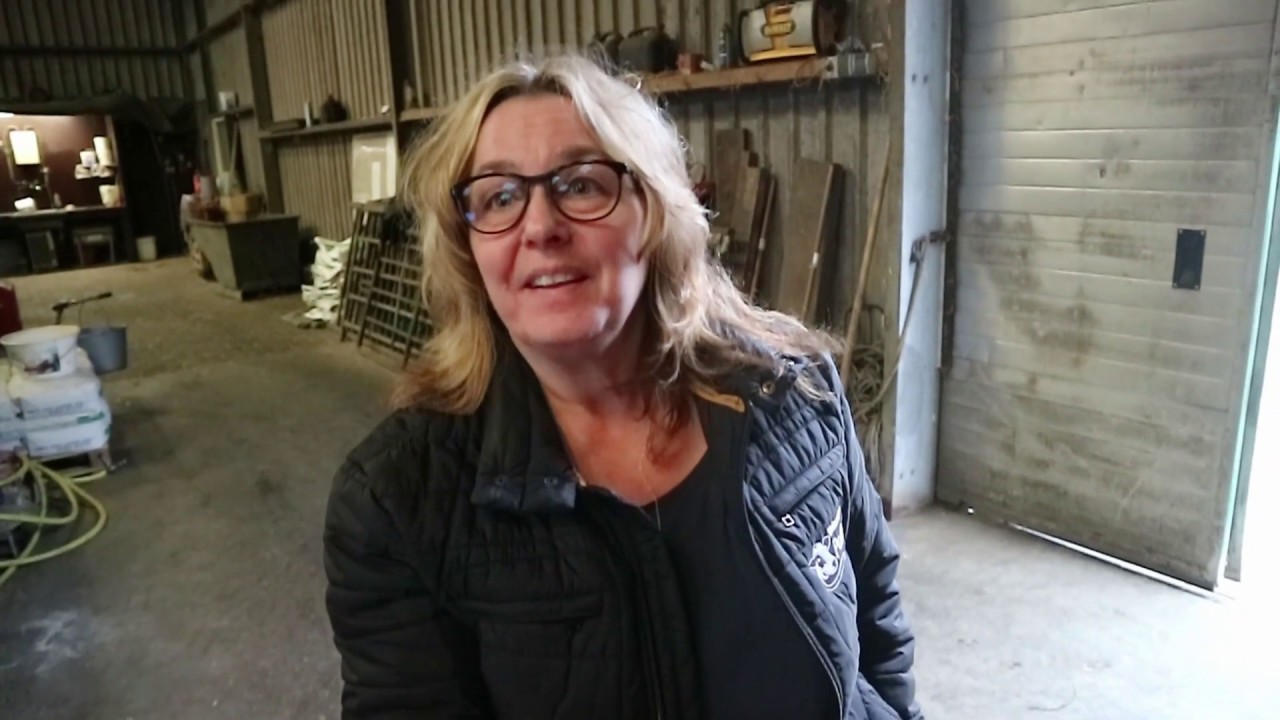 Kalveren drinken beter (en meer) uit een drinkautomaat - Bie de Boer Extra