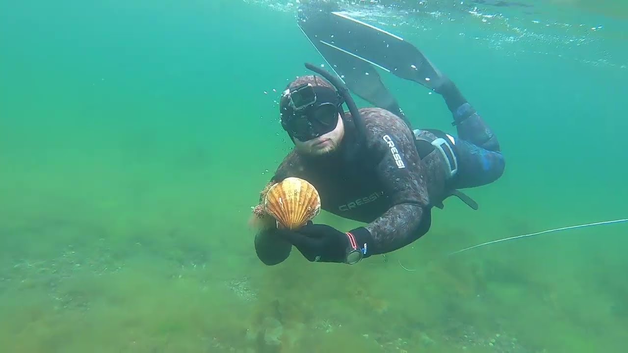 Spearfishing Langoustines, Monkfish, Mackerel Scotland UK 2025