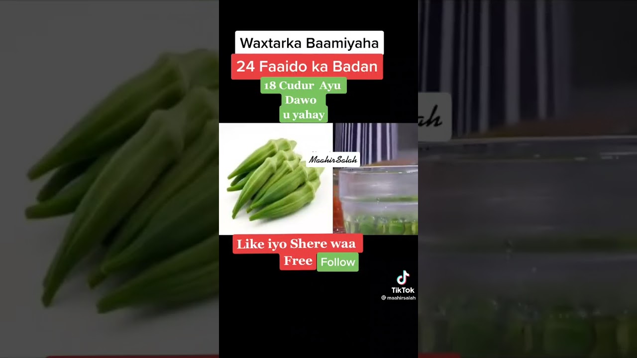 Waxtarka baamiyaha,24 Faido Madan ,Okra